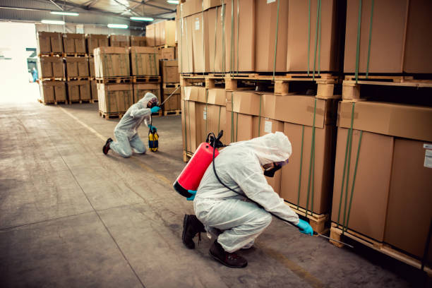 Best Exterminator Services  in Leadington, MO