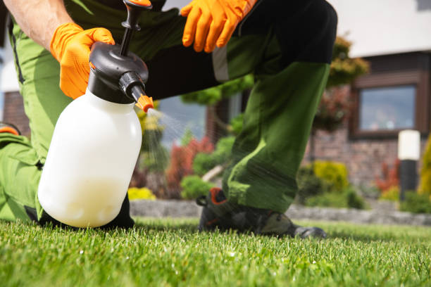 Best Pest Prevention Services  in Leadington, MO