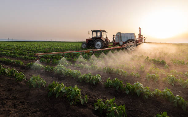Best Pest Control for Businesses  in Leadington, MO