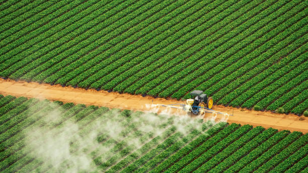 Reliable Leadington, MO Pest Control Solutions