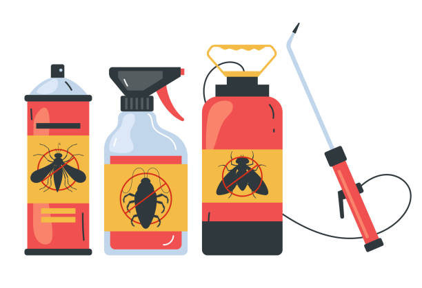 Best Termite Control Services  in Leadington, MO