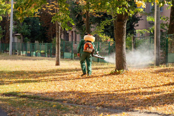 Best Affordable Pest Control Services  in Leadington, MO