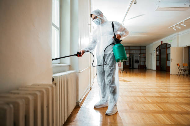 Best Pest Control for Businesses  in Leadington, MO