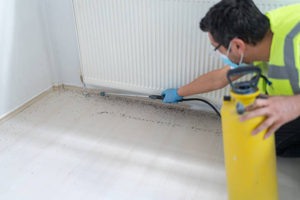 Pest Prevention Services in Leadington, MO