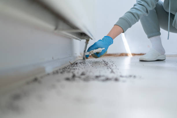 Best Best Pest Control Companies  in Leadington, MO